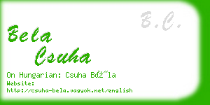 bela csuha business card